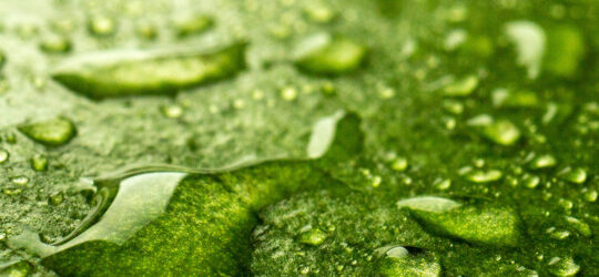 Promotion Salon Piscine, Spa & Jardin de Nice 2026